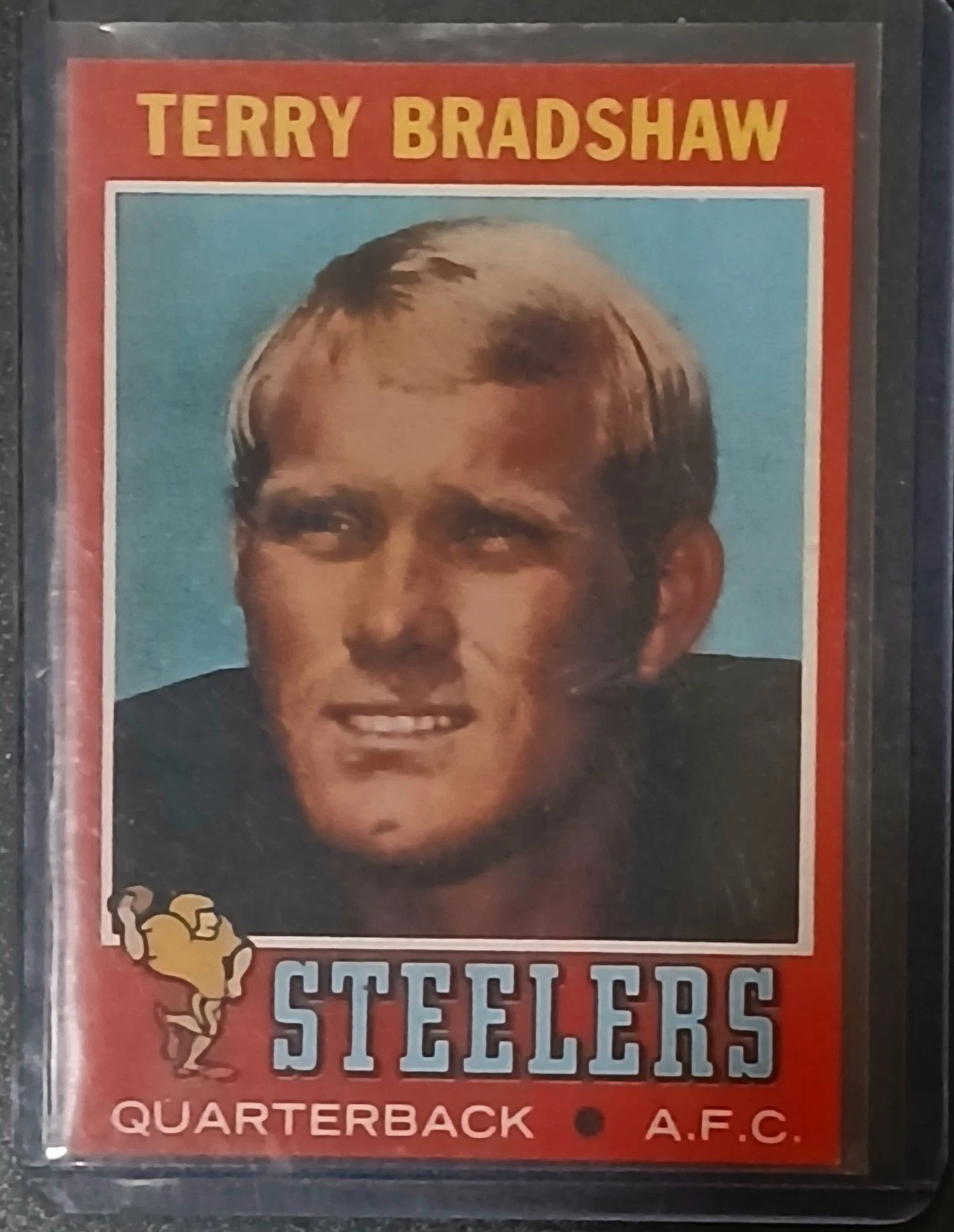Terry Bradshaw