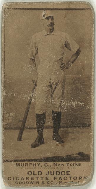 P. J. Murphy