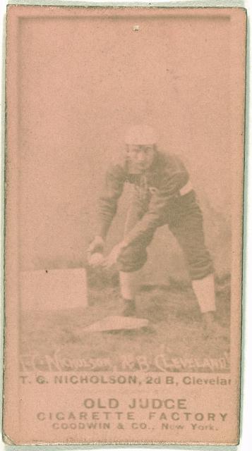 T. C. Nicholson