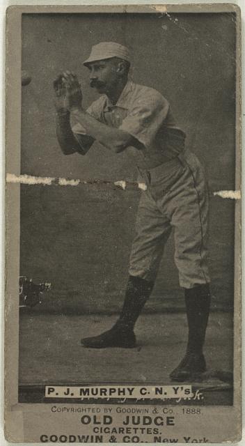 P. J. Murphy