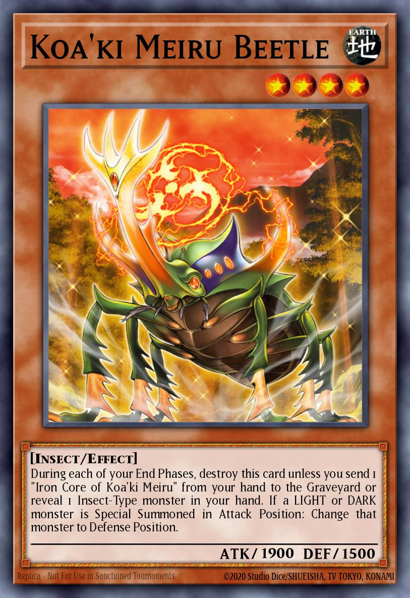 Koa'ki Meiru Beetle